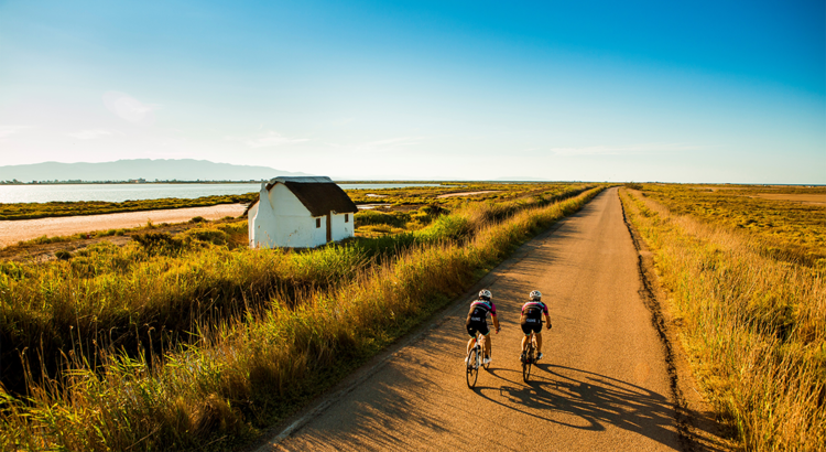 Radfahrer im Ebro-Delta